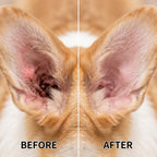 EarClear Pet Drops™ — Daily Ear Cleaning Solution for Dogs & Cats