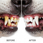 FreshPaw Dental Foam™ — Natural Tartar Remover & Breath Freshener for Dogs & Cats