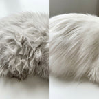 DualGroom Pro™ — 2-in-1 Cat Dematting & Deshedding Comb