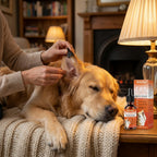 EarClear Pet Drops™ — Daily Ear Cleaning Solution for Dogs & Cats