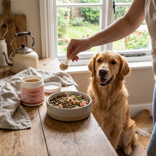 DigestEase Pro™ — Natural Digestive Support Supplement for Dogs