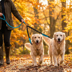 DualWalk Pro™ — Reflective Double Dog Lead with Shock Absorber | Fits 2 Dogs