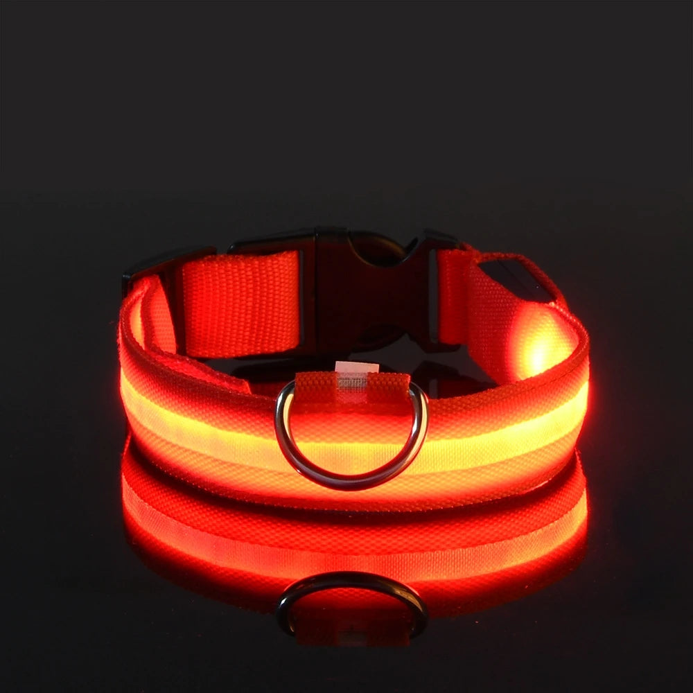 GlowSafe™ LED Night-Safety Dog Collar — High-Visibility Glow for Dark Walks