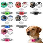 SnugShield Flea & Tick Repellent Pendant™ — Natural Protection for Dogs
