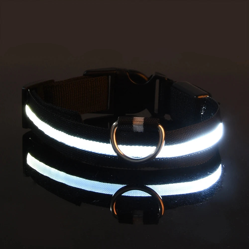 GlowSafe™ LED Night-Safety Dog Collar — High-Visibility Glow for Dark Walks