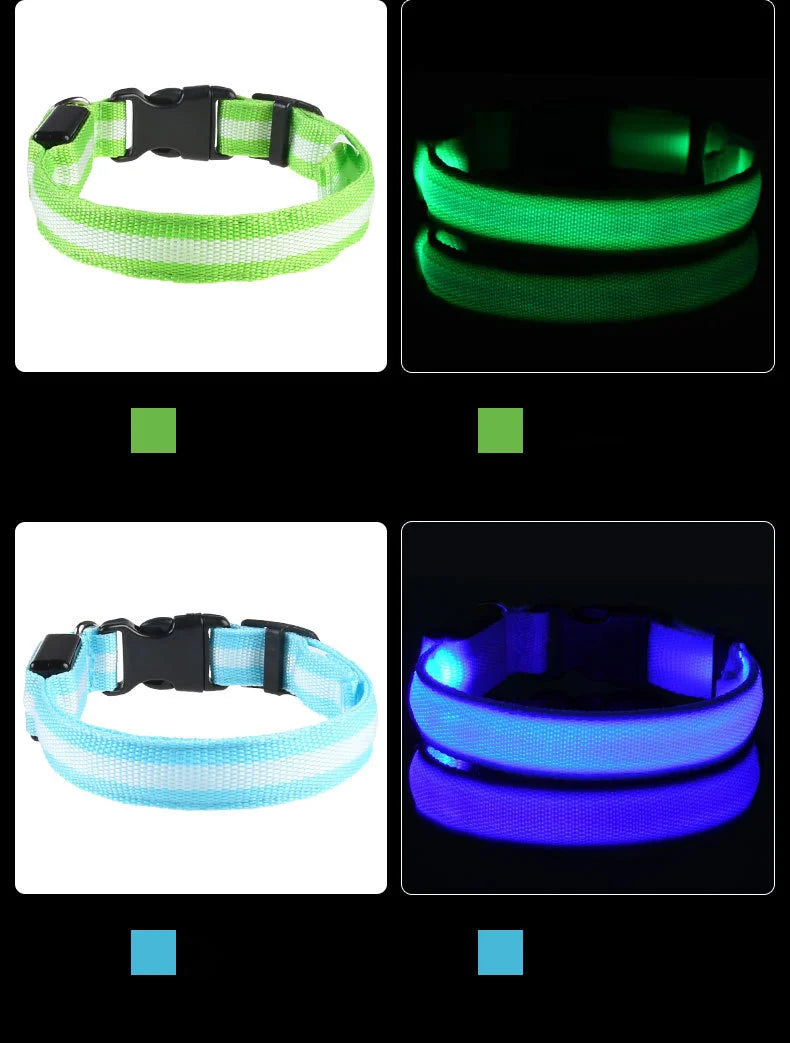 GlowSafe™ LED Night-Safety Dog Collar — High-Visibility Glow for Dark Walks