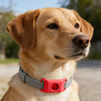 SnugShield Flea & Tick Repellent Pendant™ — Natural Protection for Dogs