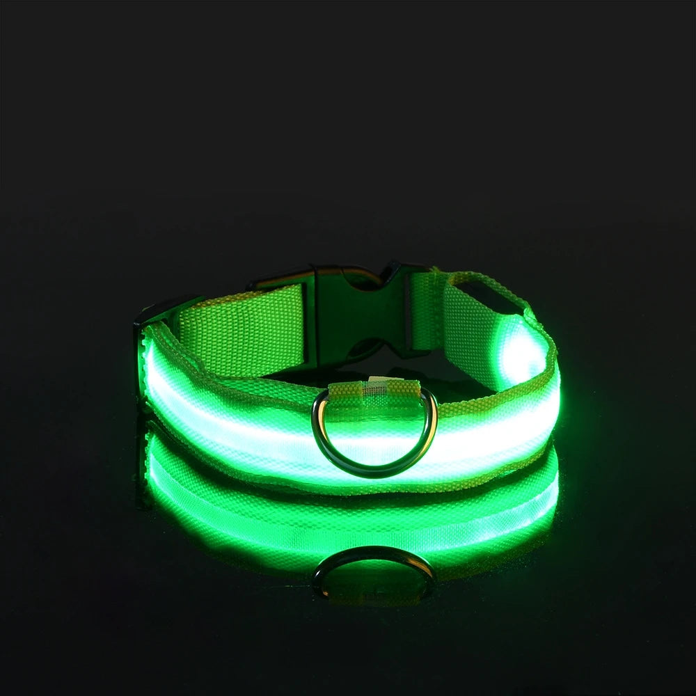 GlowSafe™ LED Night-Safety Dog Collar — High-Visibility Glow for Dark Walks
