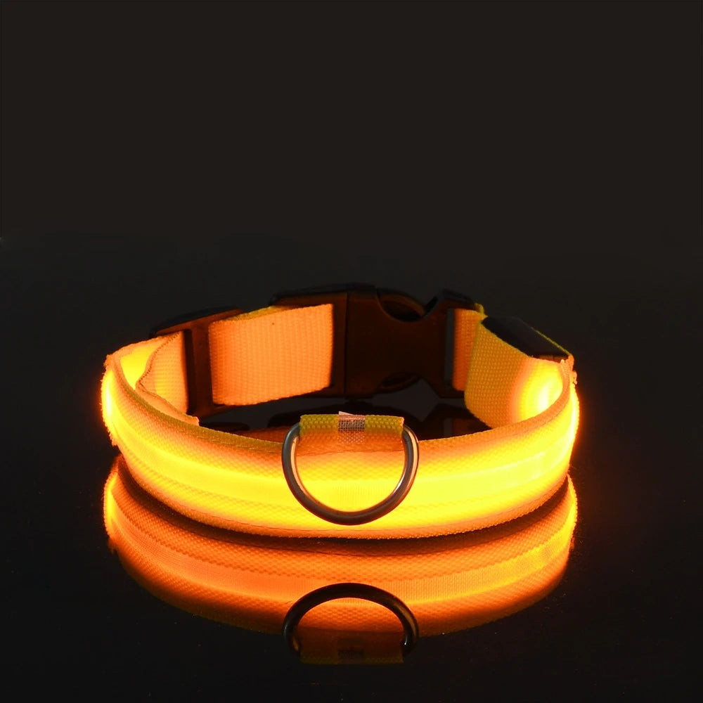 GlowSafe™ LED Night-Safety Dog Collar — High-Visibility Glow for Dark Walks