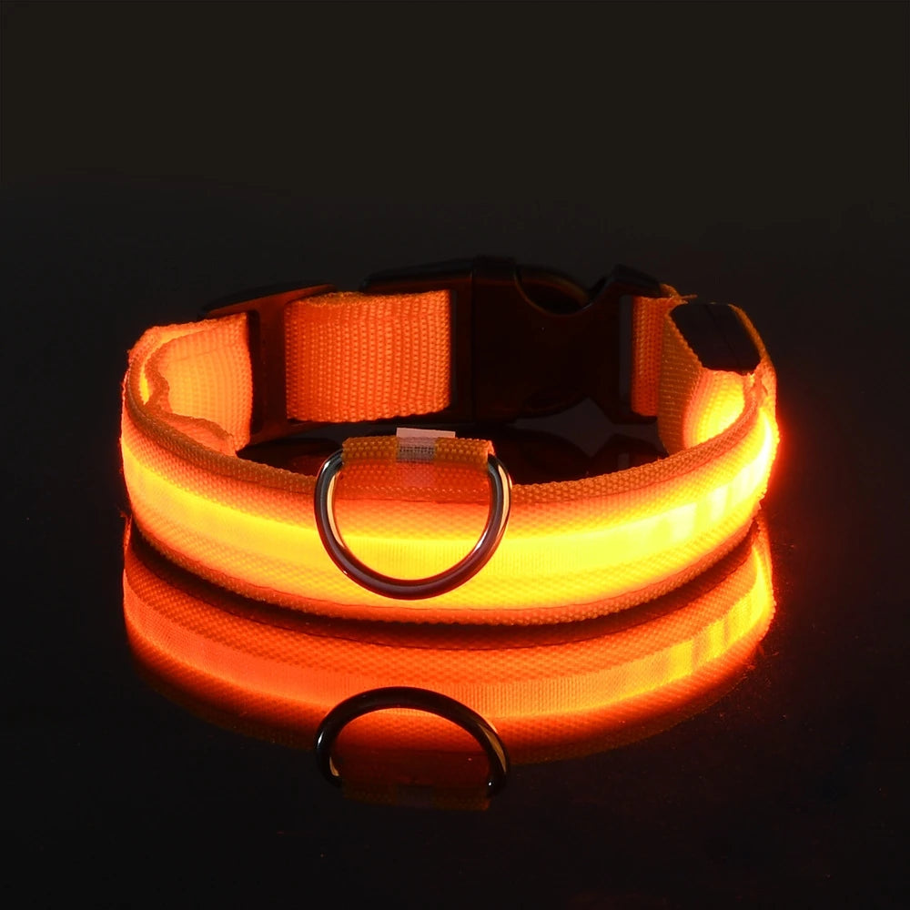 GlowSafe™ LED Night-Safety Dog Collar — High-Visibility Glow for Dark Walks