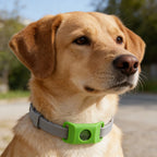 SnugShield Flea & Tick Repellent Pendant™ — Natural Protection for Dogs