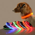 GlowSafe™ LED Night-Safety Dog Collar — High-Visibility Glow for Dark Walks
