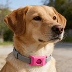 SnugShield Flea & Tick Repellent Pendant™ — Natural Protection for Dogs