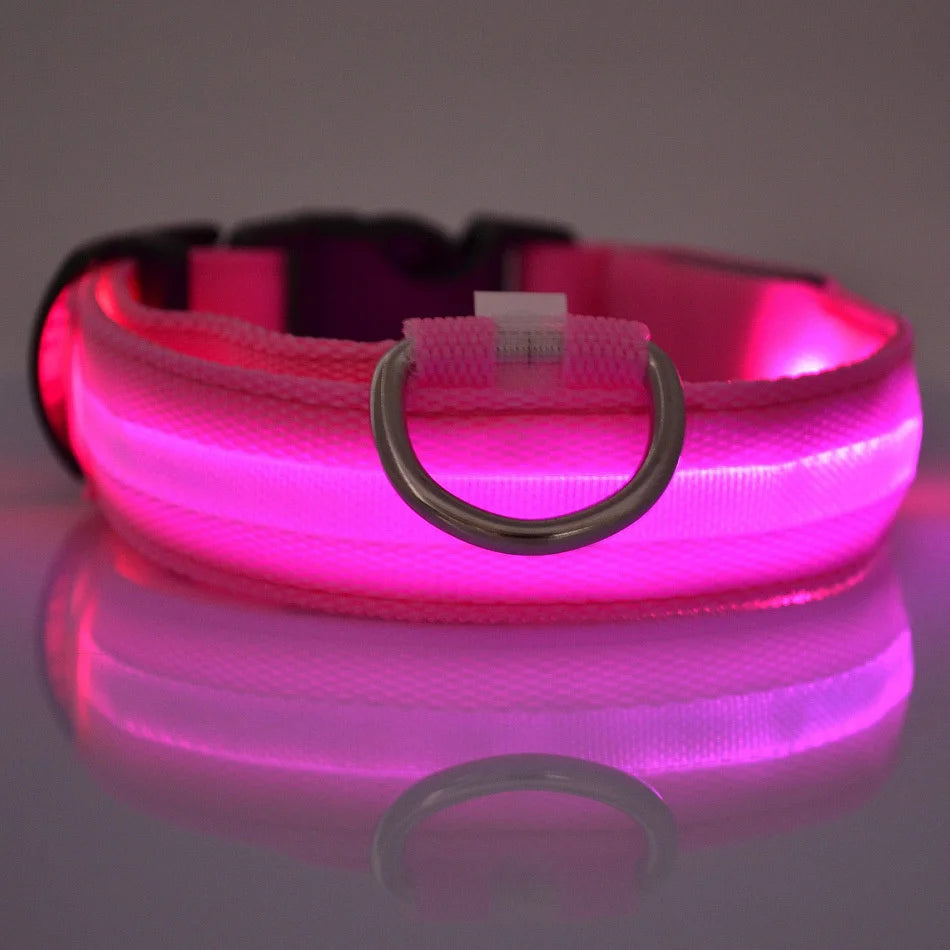 GlowSafe™ LED Night-Safety Dog Collar — High-Visibility Glow for Dark Walks