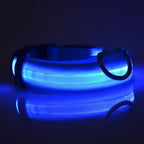 GlowSafe™ LED Night-Safety Dog Collar — High-Visibility Glow for Dark Walks