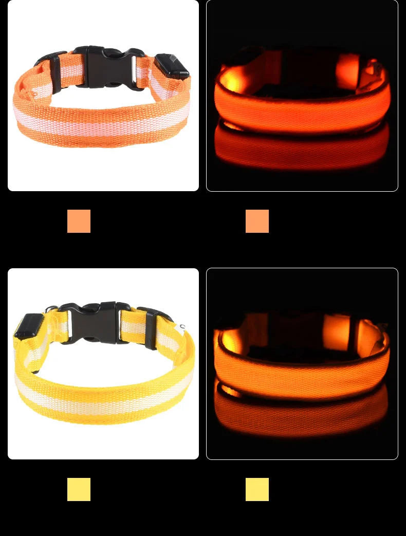 GlowSafe™ LED Night-Safety Dog Collar — High-Visibility Glow for Dark Walks