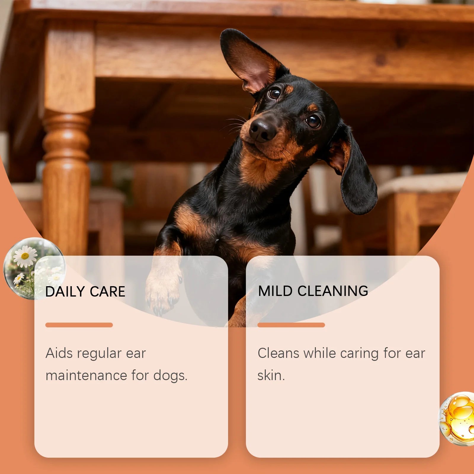 EarClear Pet Drops™ — Daily Ear Cleaning Solution for Dogs & Cats