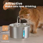 PureFlow™ Stainless Steel Cat Water Fountain — 2.2L Ultra-Quiet, Filtered