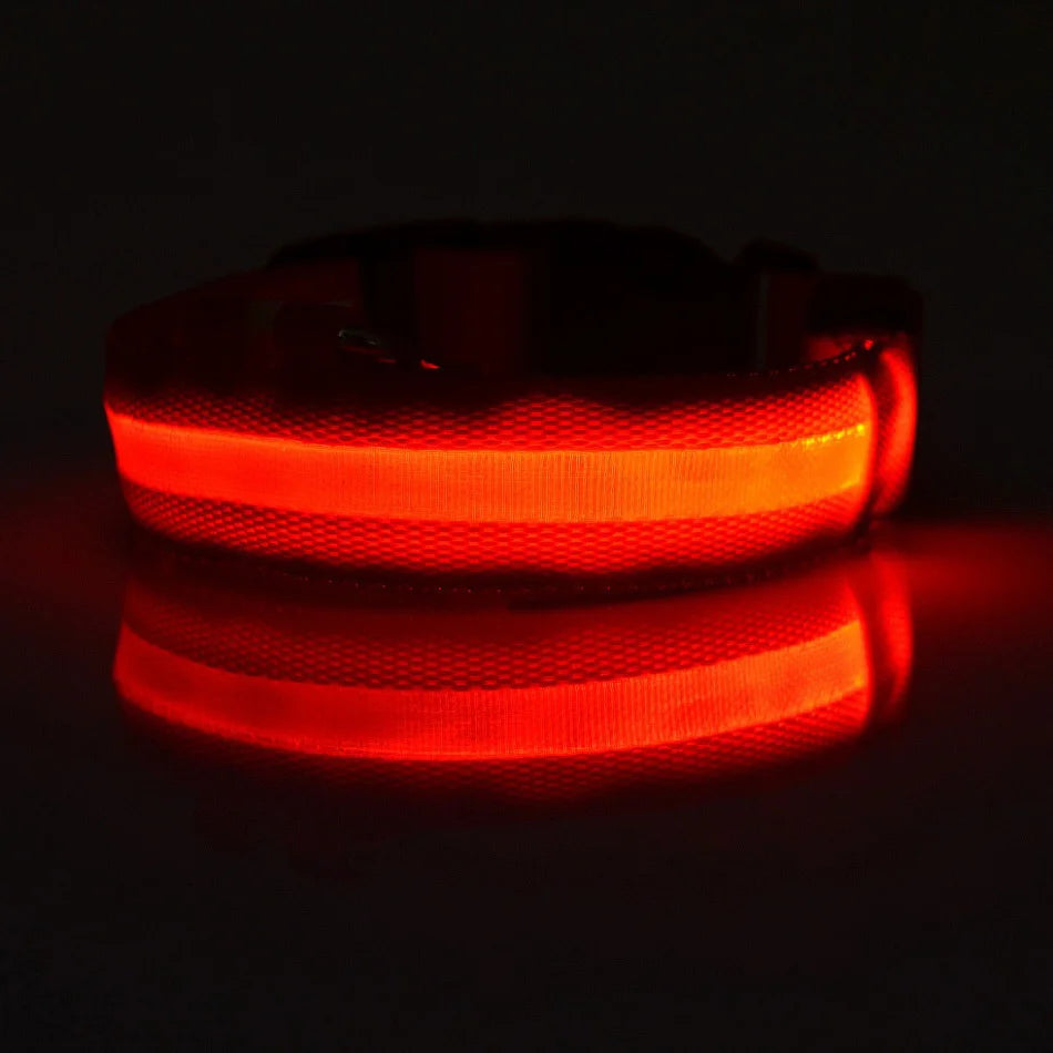 GlowSafe™ LED Night-Safety Dog Collar — High-Visibility Glow for Dark Walks