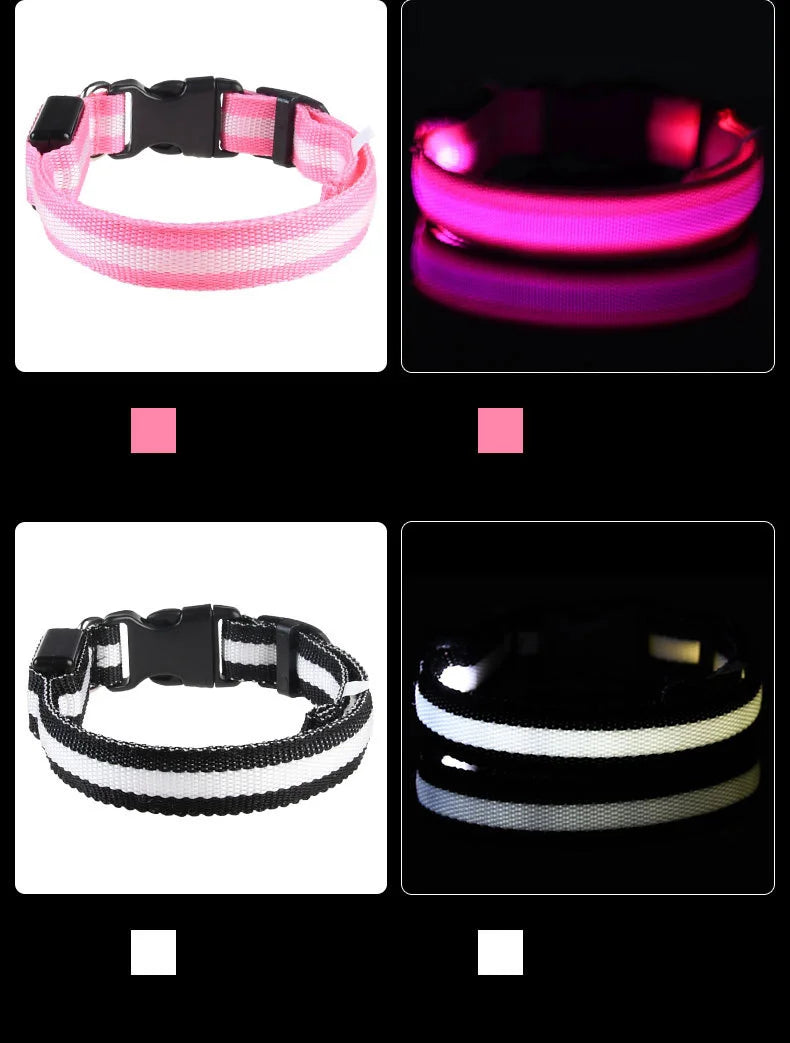 GlowSafe™ LED Night-Safety Dog Collar — High-Visibility Glow for Dark Walks