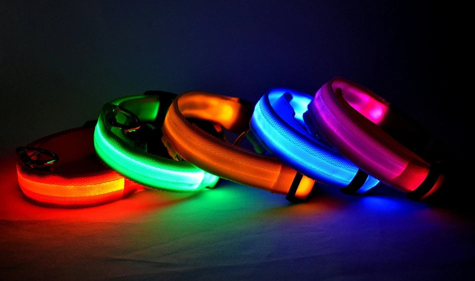 GlowSafe™ LED Night-Safety Dog Collar — High-Visibility Glow for Dark Walks