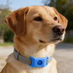 SnugShield Flea & Tick Repellent Pendant™ — Natural Protection for Dogs