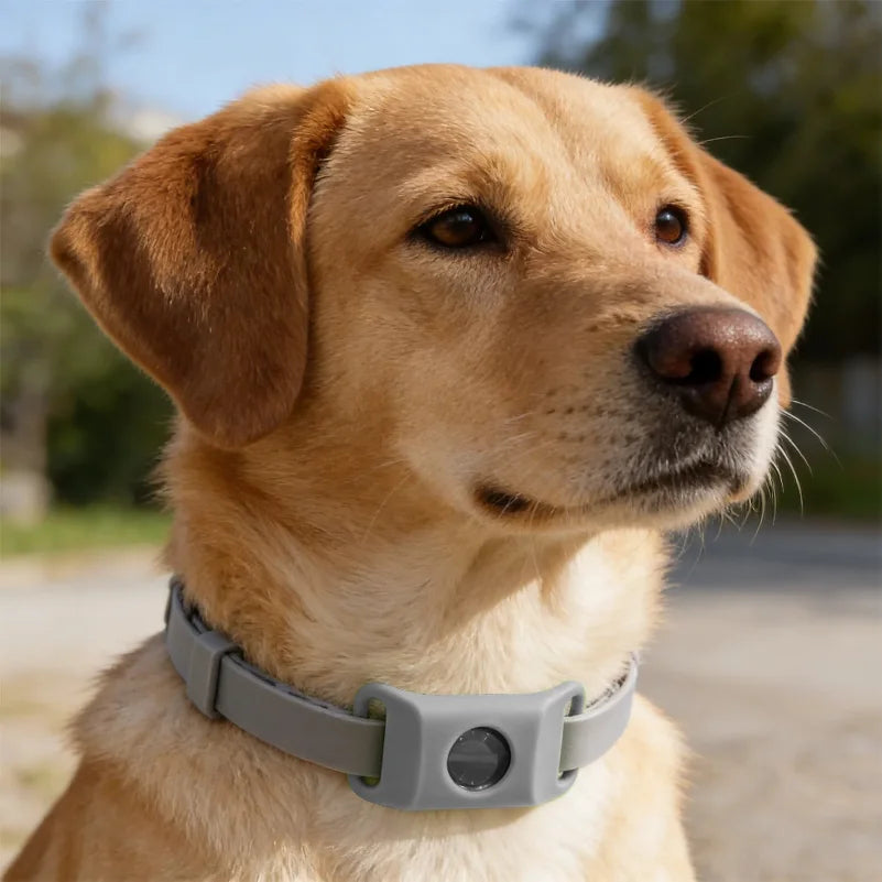 SnugShield Flea & Tick Repellent Pendant™ — Natural Protection for Dogs
