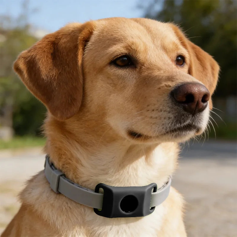 SnugShield Flea & Tick Repellent Pendant™ — Natural Protection for Dogs