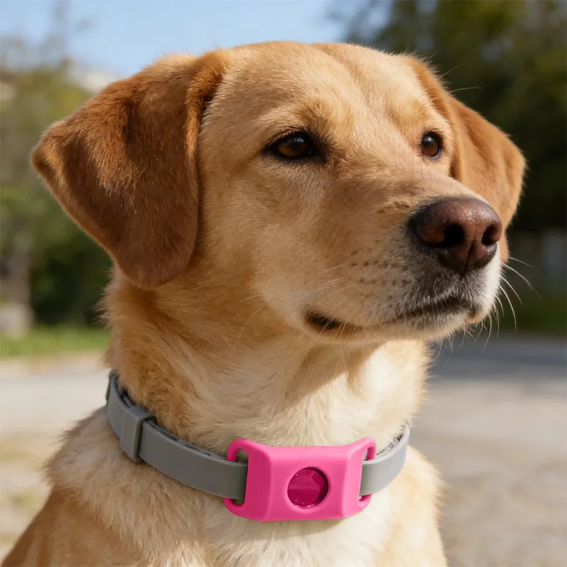 SnugShield Flea & Tick Repellent Pendant™ — Natural Protection for Dogs