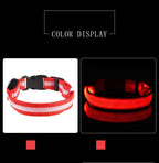 GlowSafe™ LED Night-Safety Dog Collar — High-Visibility Glow for Dark Walks