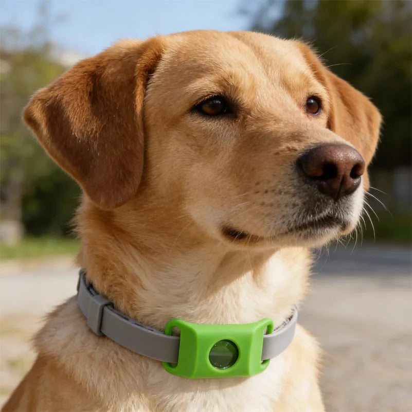 SnugShield Flea & Tick Repellent Pendant™ — Natural Protection for Dogs
